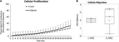 Comparable in vitro Function of Human Liver-Derived and Adipose Tissue-Derived Mesenchymal Stromal Cells: Implications for Cell-Based Therapy